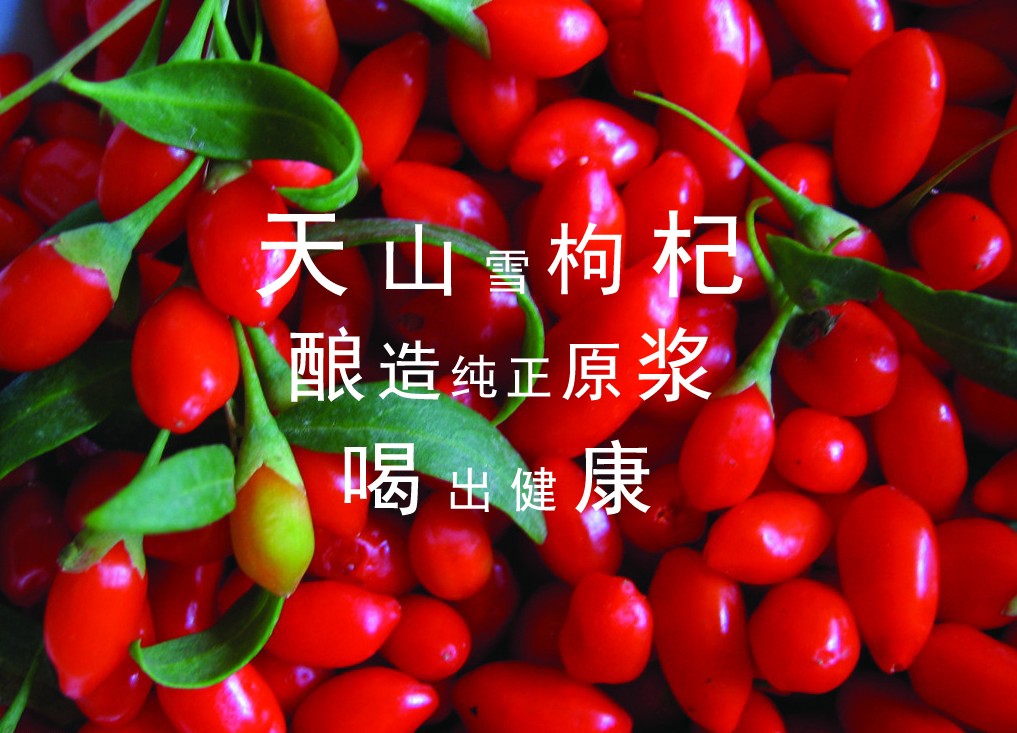 &#19975;&#35937;&#22478;&#40;&#20013;&#22269;&#41;&#87;&#97;&#110;&#120;&#105;&#97;&#110;&#103;&#99;&#104;&#101;&#110;&#103;